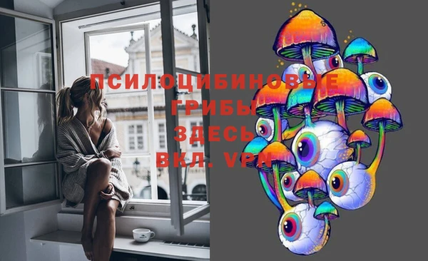 винт Баксан