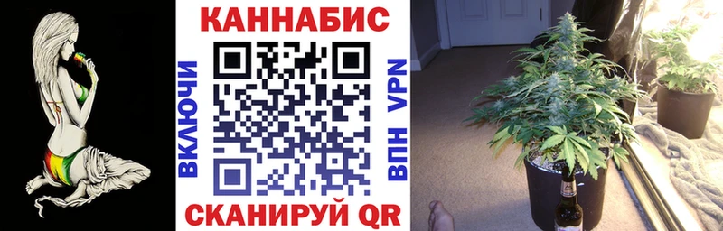 Марихуана сатива цена наркотик Ленинск